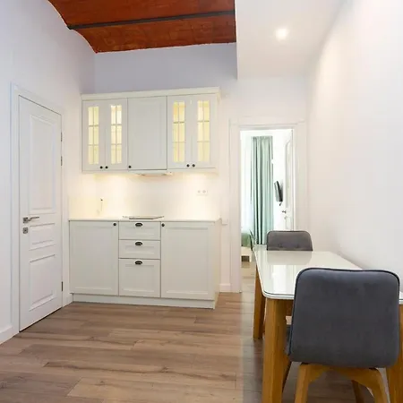 Apartmán Moderno Y Espacioso En Calle Mallorca Barcelona